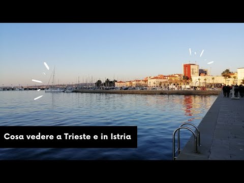 COSA VEDERE A