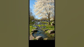 سورة (القصص) الآية -٨٧ - القارئ/أبوعبدالله #القرآن_الكريم #المصحف #اسلاميات #راحة_نفسية