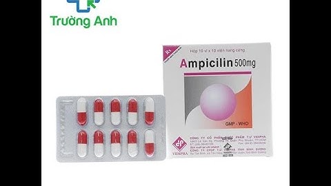 Ampicillin hấp thu qua đường tiêu hóa bao nhiêu năm 2024
