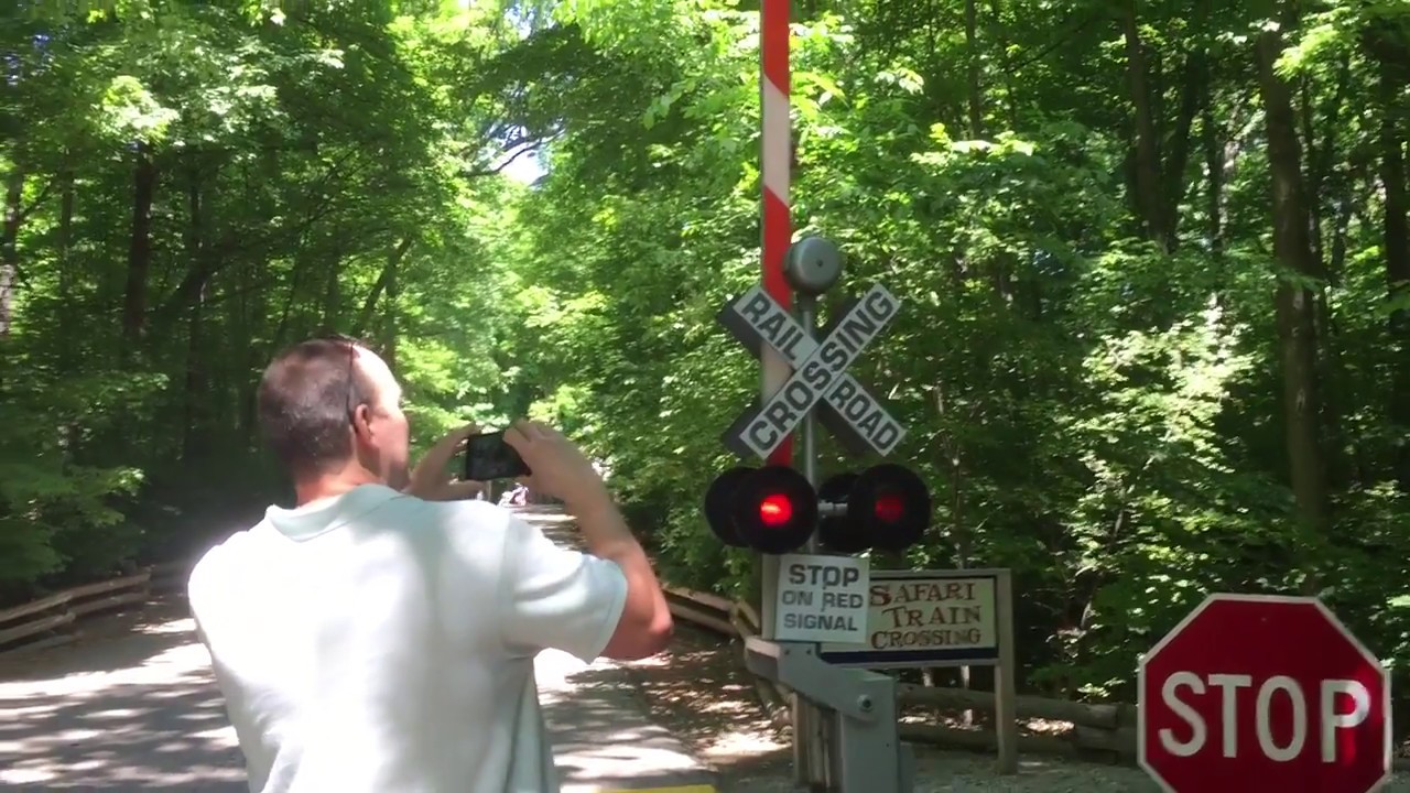 Railroad crossing at the Milwaukee zoo YouTube