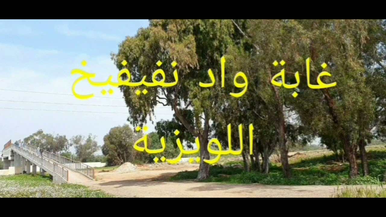 أقرب طريق بين غابة واد نفيفيخ اللويزية ومرجان المحمدية .