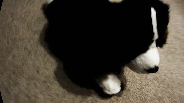 MEP for peppykinz - parts 12 & 13