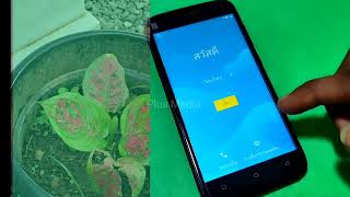 Blu C5L Google Frp Unlock How To Remove Google Account Blu C5L