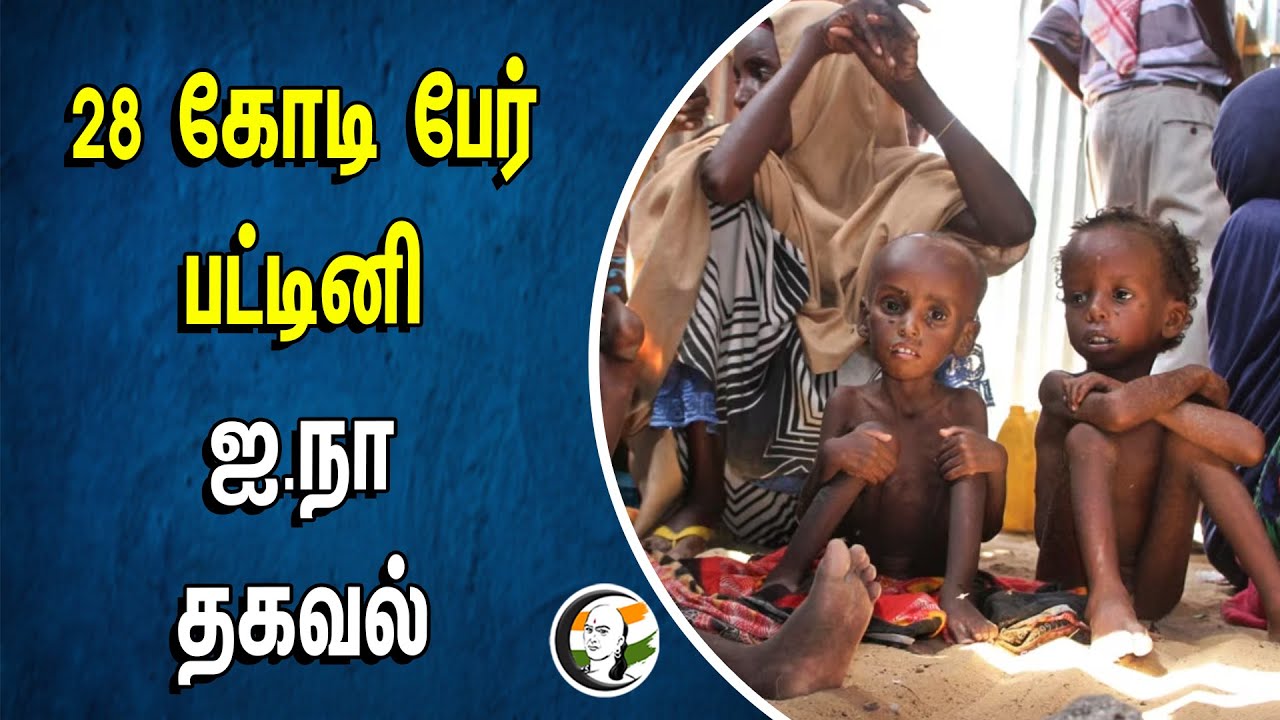 28 கோடி பேர் பட்டினி U.N தகவல் | United Nation | World Poverty | Poor People Hungry