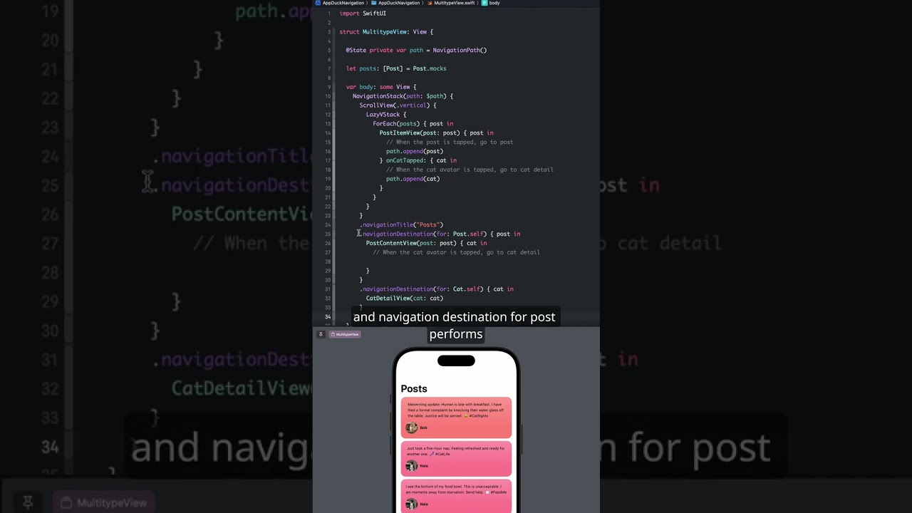Navigation with multiple data types in SwiftUI | iOS 18 #swift #ios #shorts
