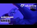 Auricolari wireless aries  cellularline moreofyou