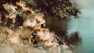 Sequence 01