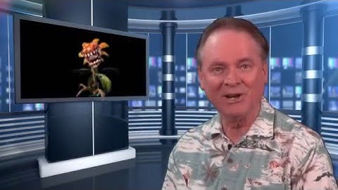 Jeff Werner Social Media Marketing Demo. I Create Social Media Videos Affordably!