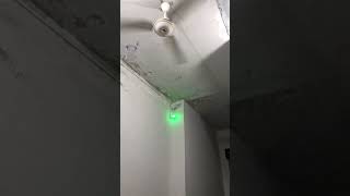 IMG 3406