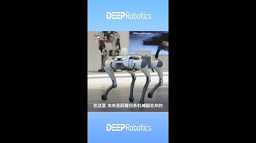 DEEP Robotics HQ | CGTN Explores Cutting-Edge Quadruped Innovations