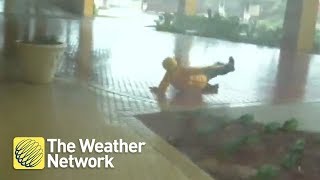 Watch wind take storm hunter right off her feet in Hurricane Michael - October 10, 2018