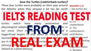 IELTS READING - SAVE THE TURTLES (LEATHERBACK) | REAL EXAM READING PASSAGE | IELTS READING TEST 2024