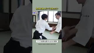 What would happen if an Aikido master attacked you with a knife?