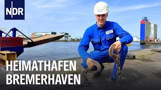 Download Lagu Hafen Bremerhaven: Zentrum der deutschen Fischindustrie | die nordstory | NDR Doku MP3 Download Lagu Hafen Bremerhaven: Zentrum der deutschen Fischindustrie | die nordstory | NDR Doku MP3