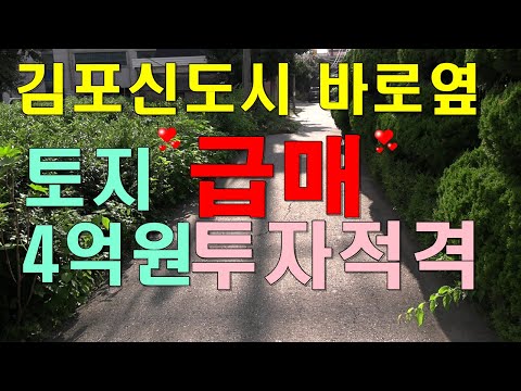 주거안정월세대출