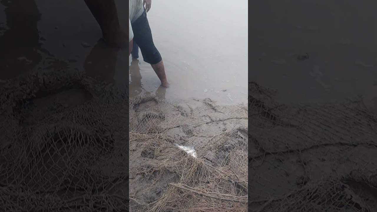 Fish 🐠🐟🐠🐟🐠🐟🐠 hunting Syed wala y