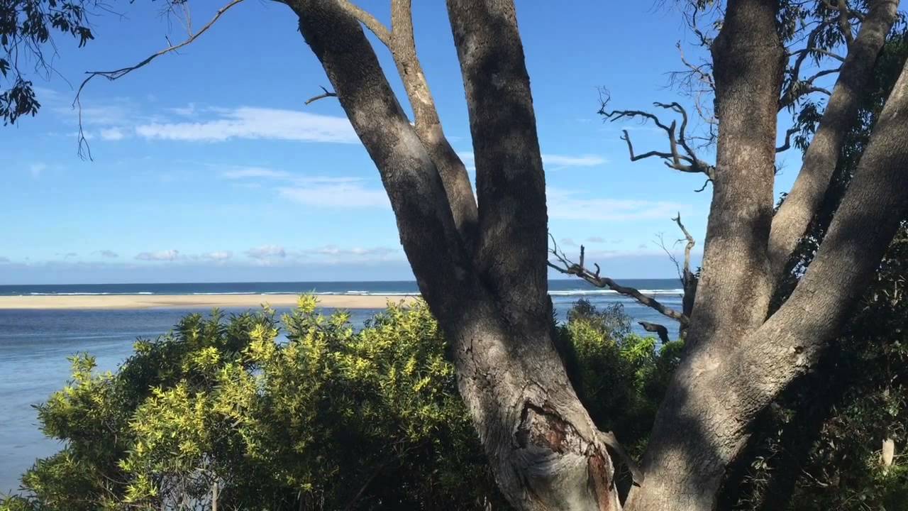 Mallacoota Foreshore Holiday Park - Mallacoota Victoria