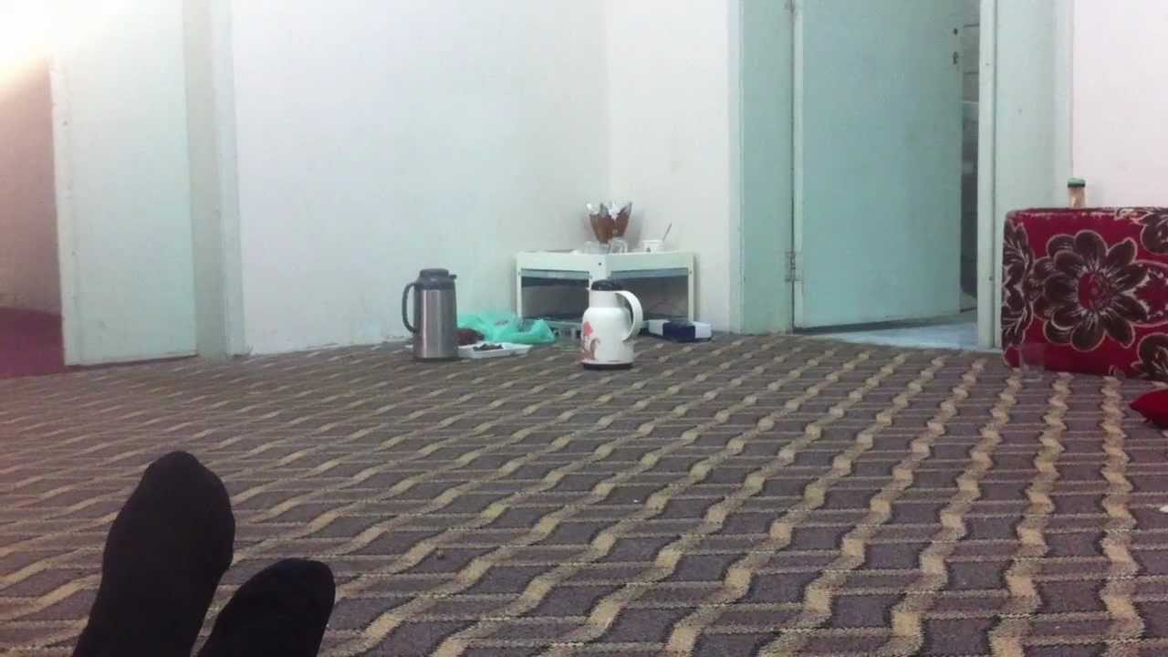 عزبة الروضة حائل