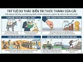 TALMUD #1: Trí Tuệ Và Tiền Bạc Là Sự Kết Hợp Hoàn Mỹ Nhất (Từ Quang Á)