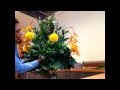 ARREGLO TROPICAL PARA IGLESIA