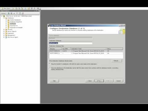 How to duplicate MS SQL Database