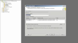 How to duplicate MS SQL Database