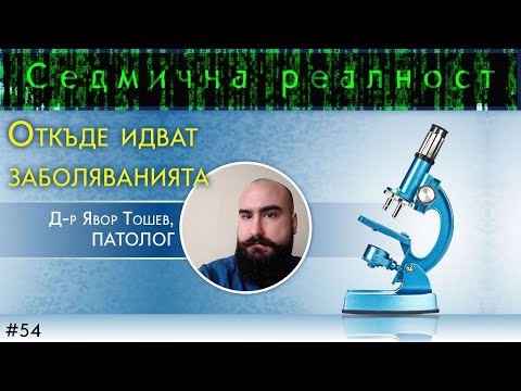 Видео: Откъде идват витамините?