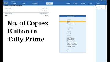 Number of copies Button TDL in Tally Prime (Customization) | Tally Prime productivity Add-on
