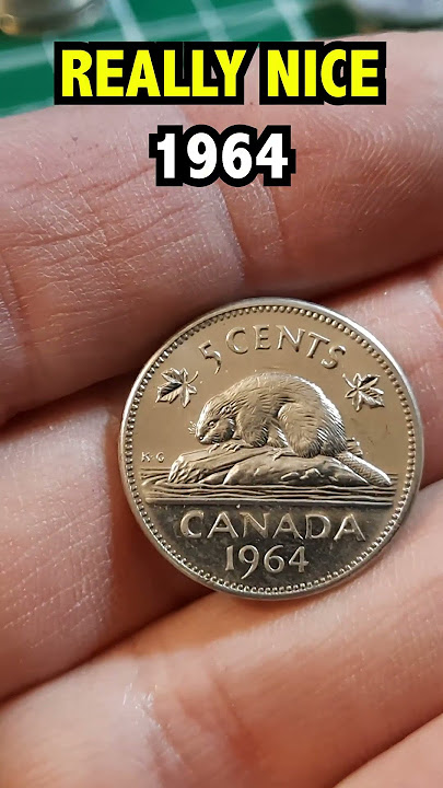 Everybody's looking for this RARE Variety! 1964 Extra Water Line! #coin #coinrollhunting #nickels