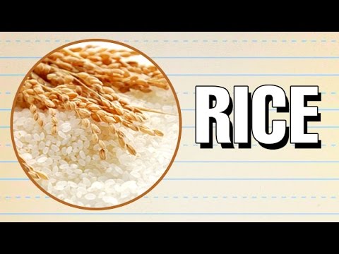 rice cereal in hindi