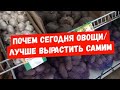 #346ЦЕНЫ НА ОВОЩИ В СТАНИЦЕ/РАССАДА ОГУРЦОВ/НОВАЯ ГРЯДКА В ТЕПЛИЦЕ/ЖИЗНЬ НА ЮГЕ