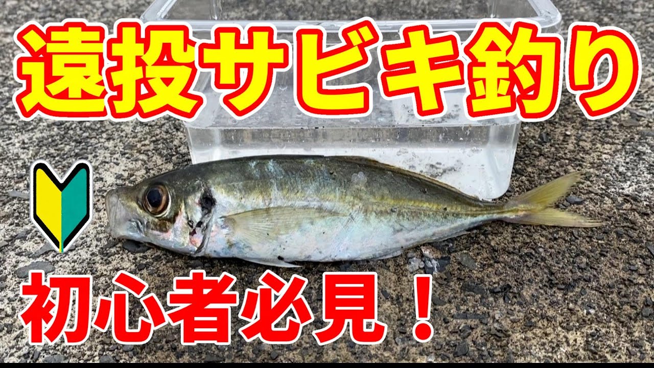 Fishing In Japan How To Fish Horse Mackerel That Anyone Can Do Youtube