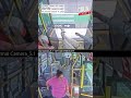 Two Pygmy Goats Sneak Onto Portland Bus