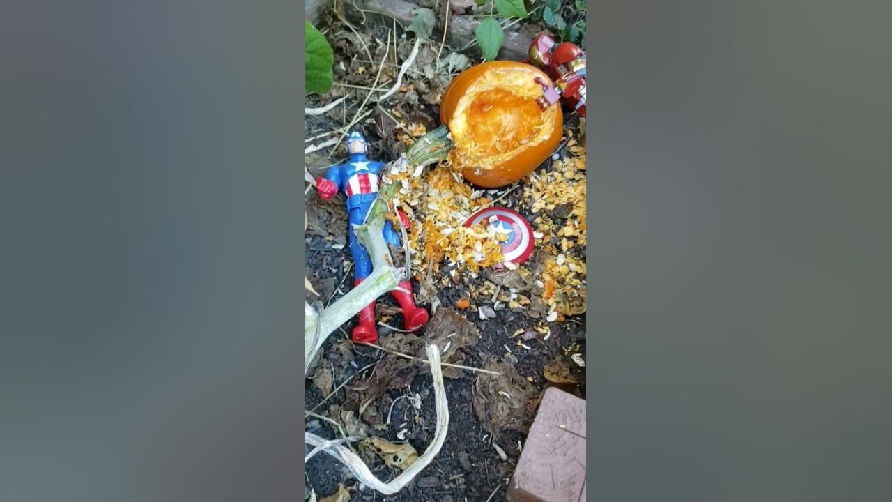 avengers-pumpkin-endgame-why-i-quit-growing-pumpkins-shorts