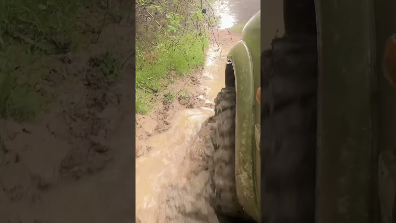 MUD (Ziarelli Mountain Devils close view)