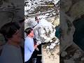 Normal throwing rocks vs king throwing rocks. #throwback #shorts #edit #trending