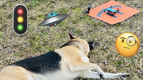 Do You Need a Drone Landing Pad? DJI Spark Initial Landing Impressions