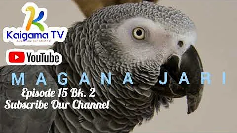 MAGANA JARI Episode 15' 2023; #hausanovel