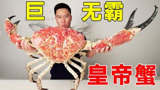 🈴18.5斤巨无霸皇帝蟹！一只8000元脚比手臂还粗，吃一根腿就饱了#小文哥吃吃吃