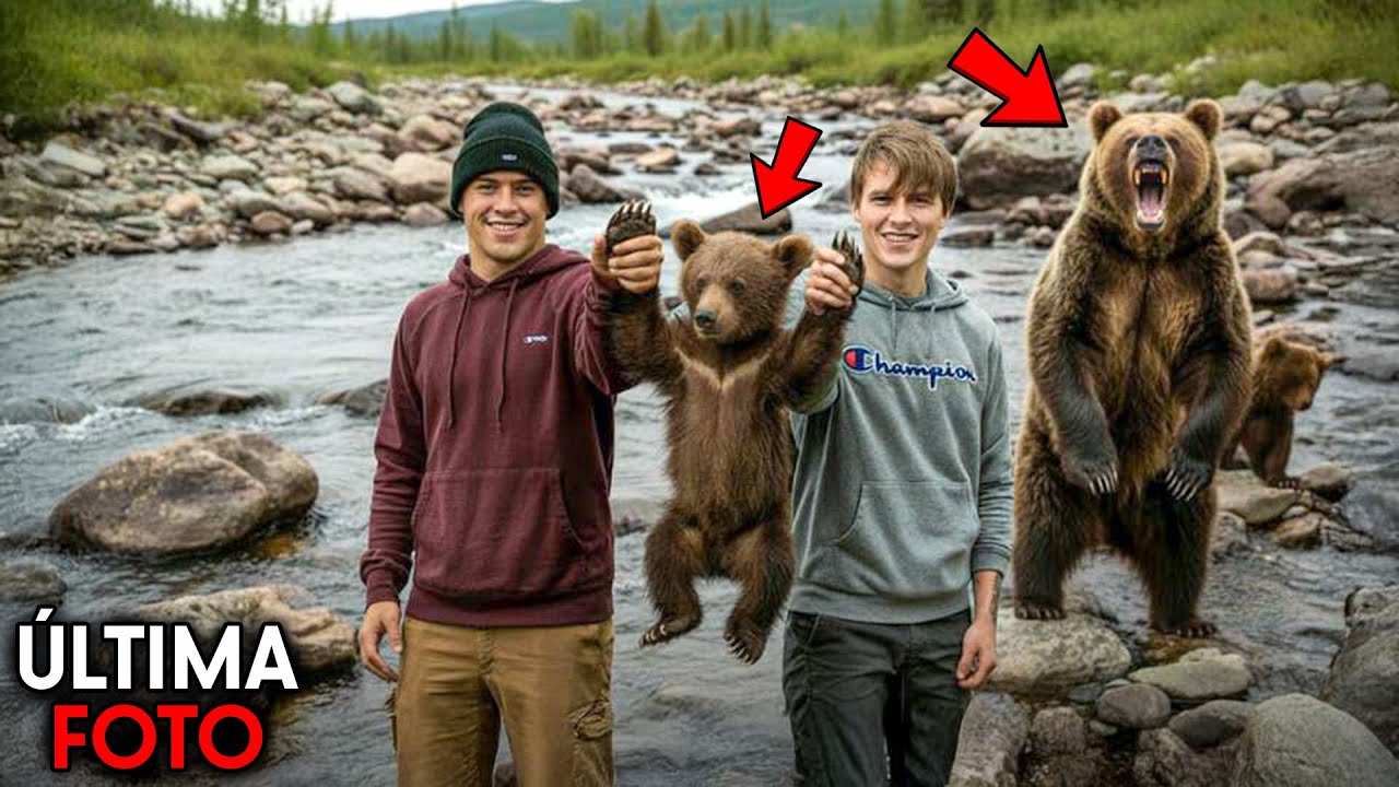 Os Ataques De Urso Mais BRUTAIS Já Registrados!