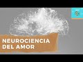 Neurociencia del amor