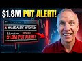 $1.8M Bearish Whale Alert Hit Exactly When Market Dropped