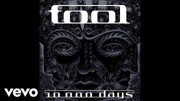 TOOL - The Pot (Audio)