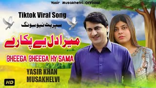 Bheega Bheega Hy Sama Tiktok Viral Song | Yasir Niazi Mussa Khelvi |  Video LaaL Production
