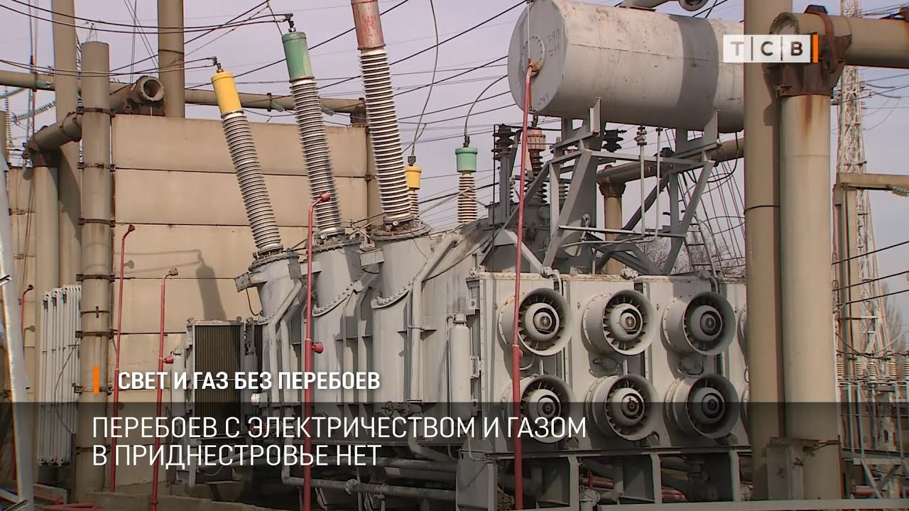Газель без морды