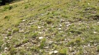 Carpathian Ride Video 02