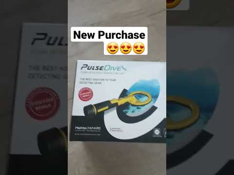 Metal Detecting Nokta