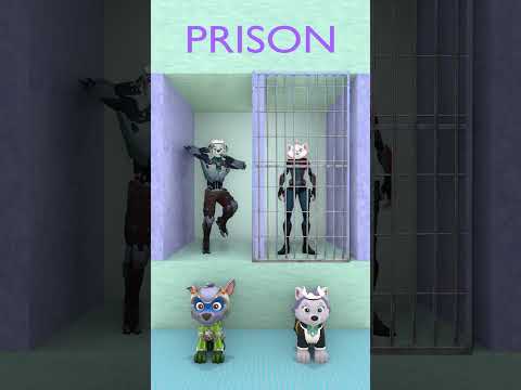 who is winner? #shortsvideo