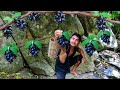 Survival in the rainforest - Wow man catch fish meet grapes black and cooking - Eating delicious