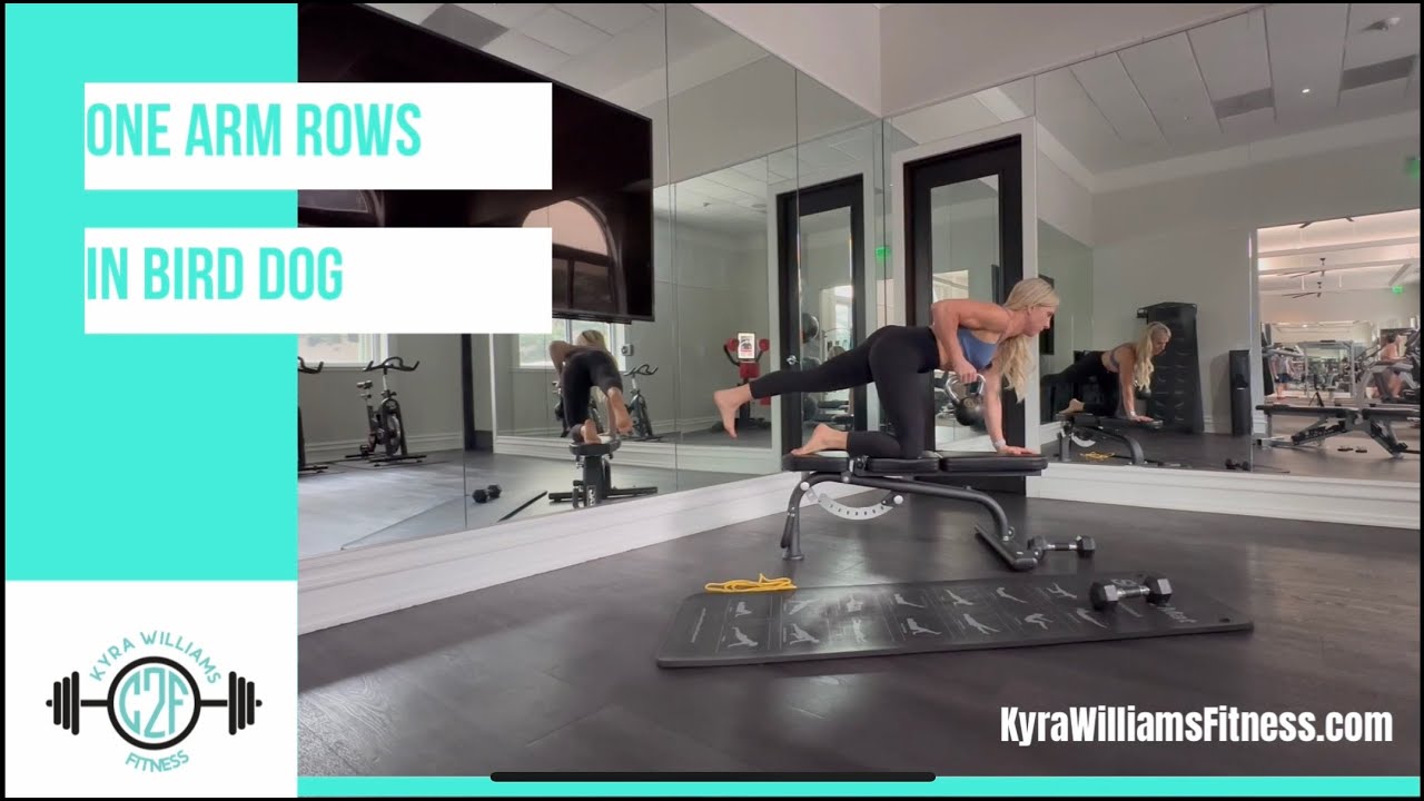 Anti Rotation Rows Bird Dog Row Tutorial | Anti-Rotation & Upper Back Strength - YouTube